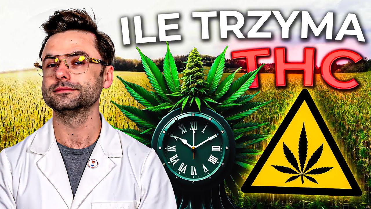 JAK DŁUGO marihuana jest WYKRYWALNA w organizmie?