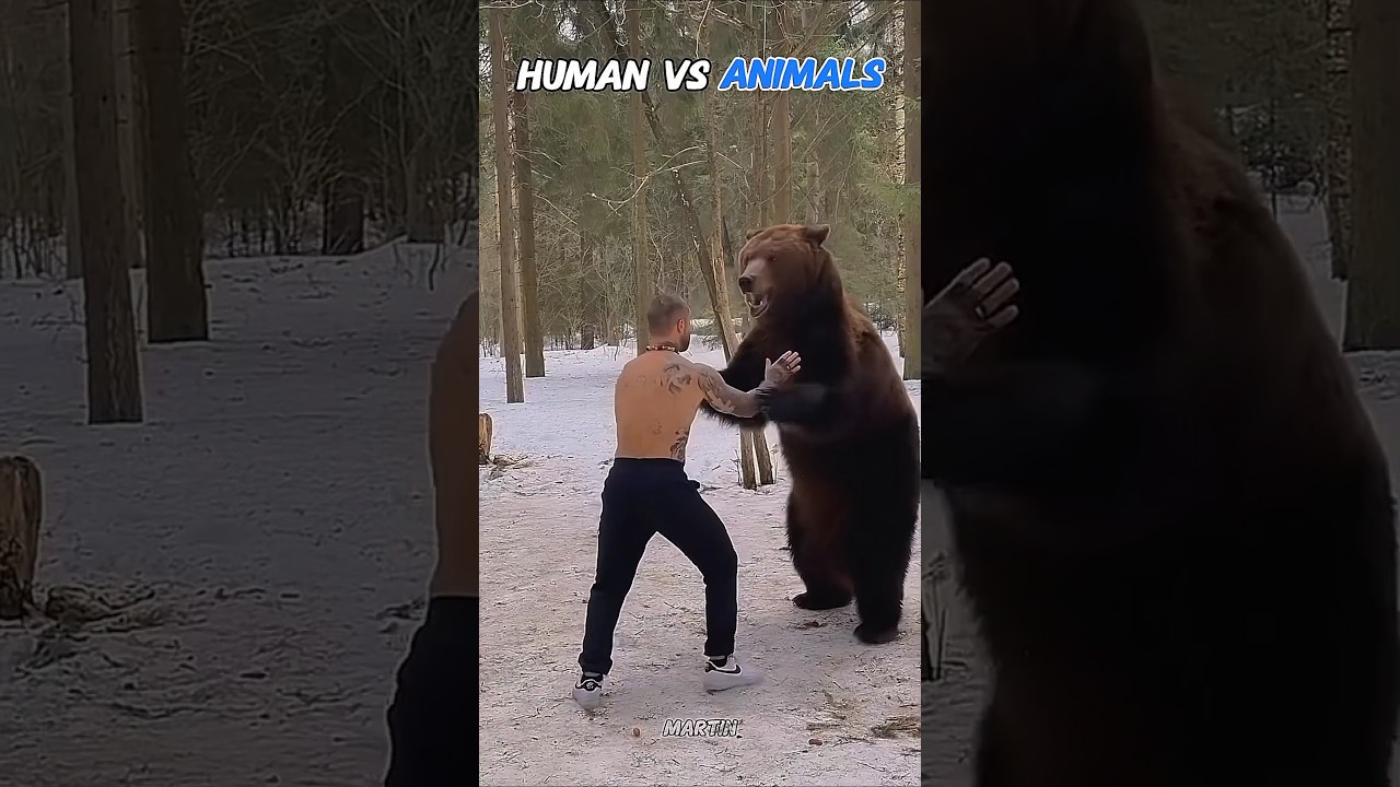 Human vs Animal vs Last one💀🐕