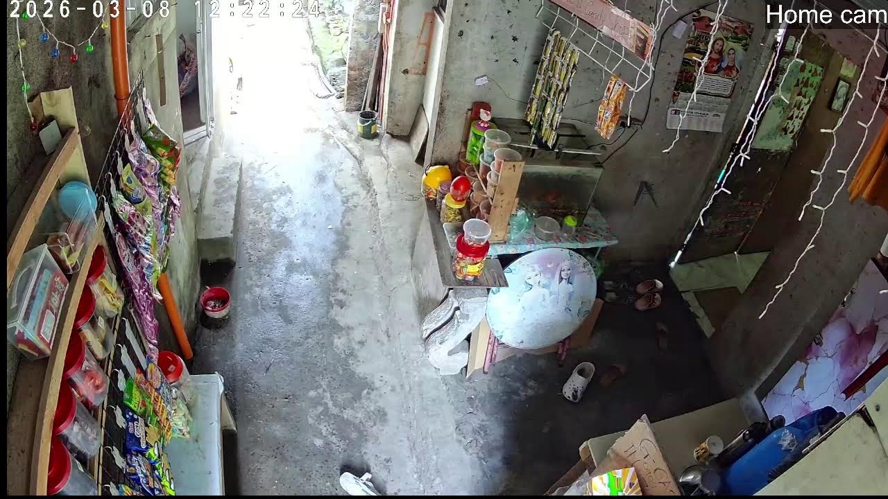 Lola's Home - Home Cam- My Everyday life