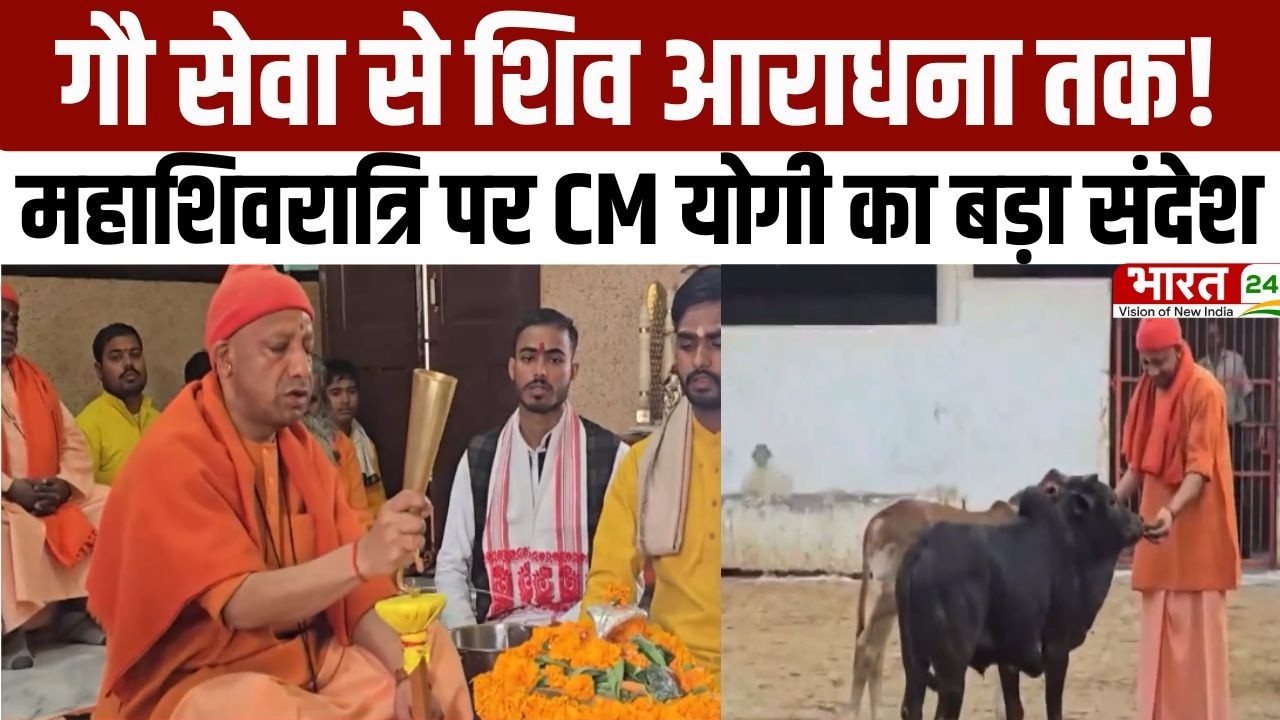 CM Yogi Gorakhpur Visit: गौ सेवा से शिव आराधना तक! महाशिवरात्रि पर CM योगी का बड़ा संदेश | UP News