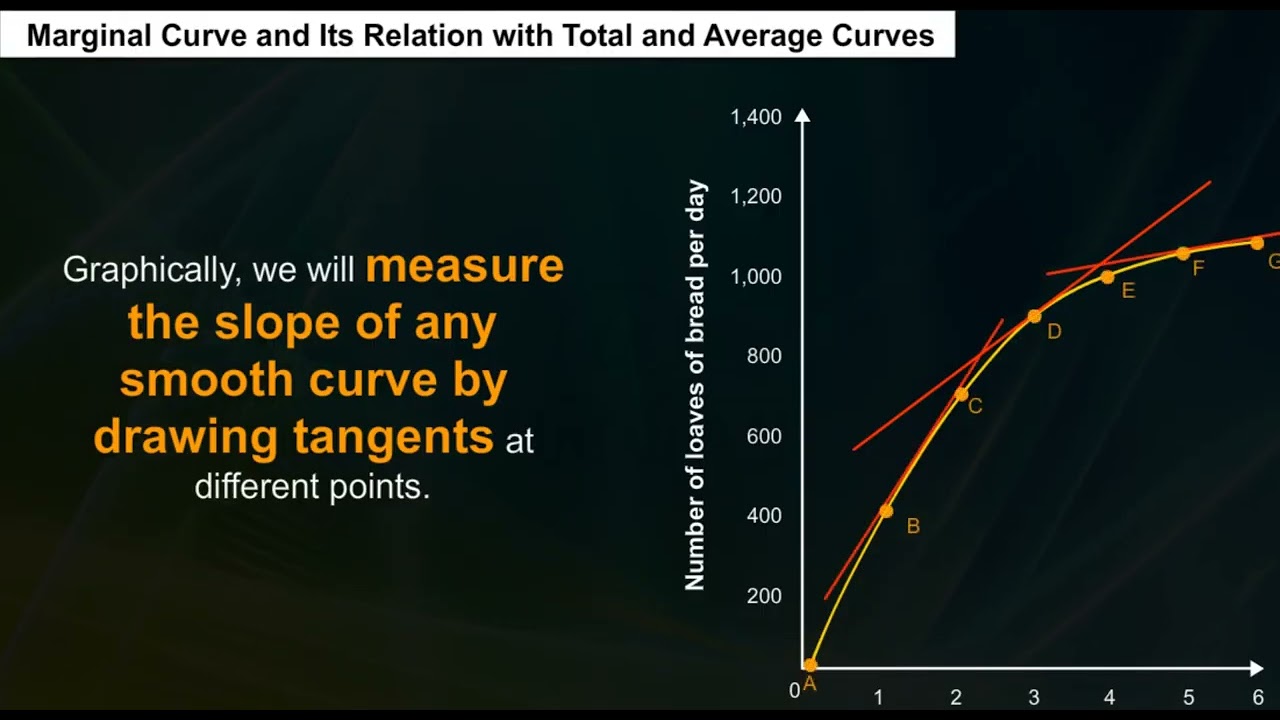 Ch 9 - Non-Competitive Markets | Total, Average and Marginal Revenue Curves and Price Elasticity