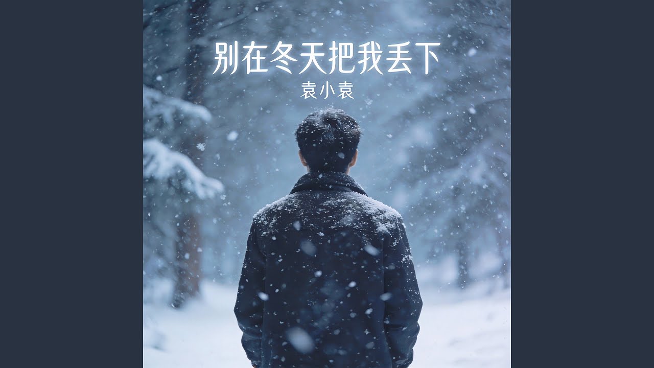 别在冬天把我丢下 (Dj浩然版)