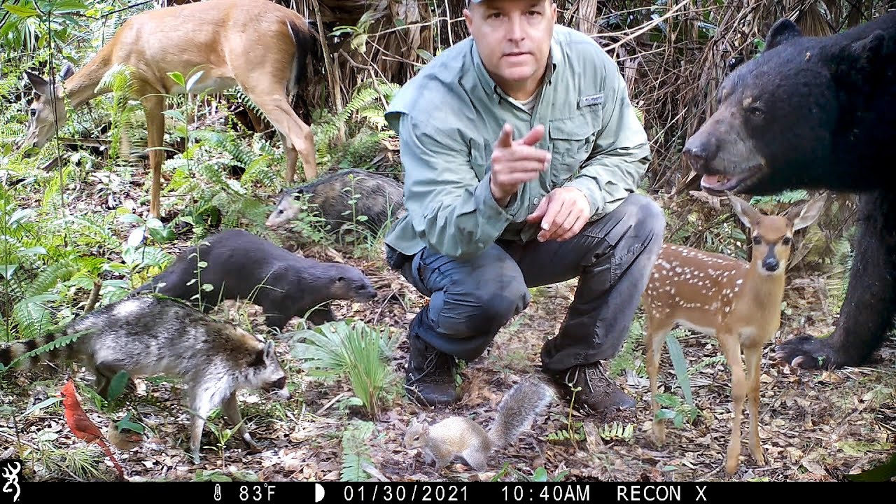 Tim Harrell - Browning Trail Camera Pickup