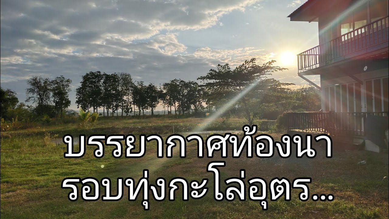 ชมบรรยากาศกลางท้องนารอบทุ่งกะโล่อุตรดิตถ์