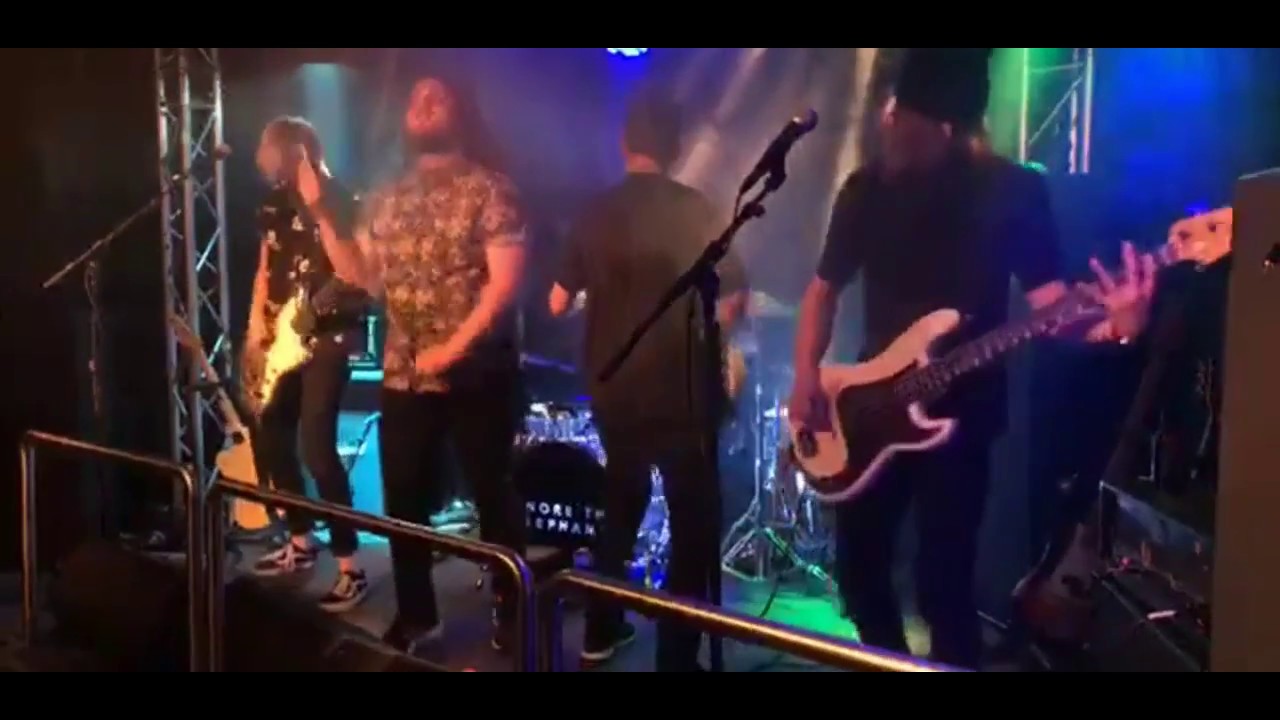 IGNORE THE ELEPHANT - Pride Live Dinos Bar & Grill Åland 2017