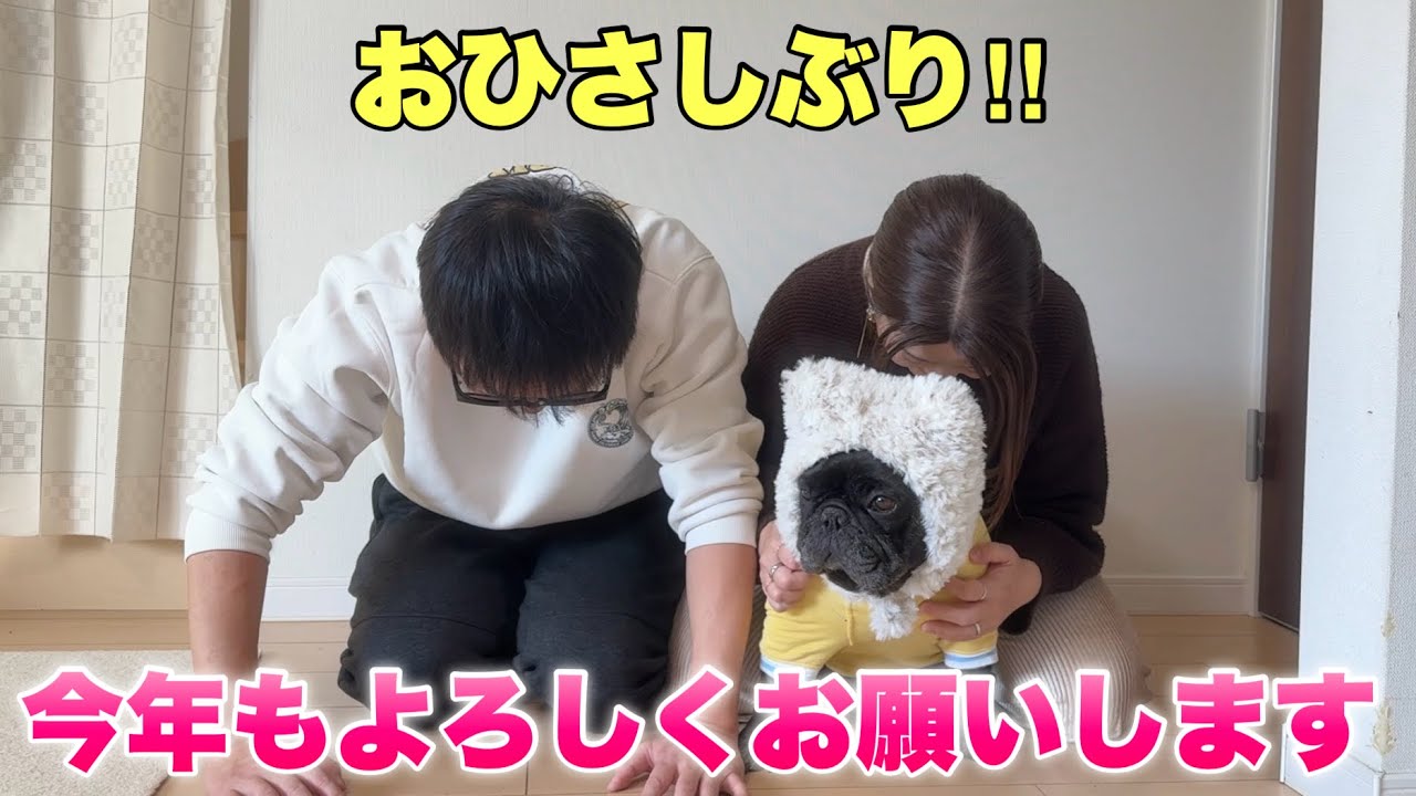 【ご報告&新年挨拶】ご無沙汰しております！今年もよろしくお願いします！