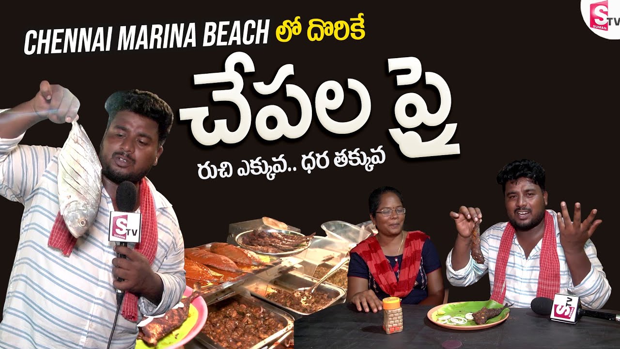 Chennai Marina Beach లో దొరికే వెరైటీ చేపల ఫ్రై | Simhapuri Sinnodu | Sumantv Nellore