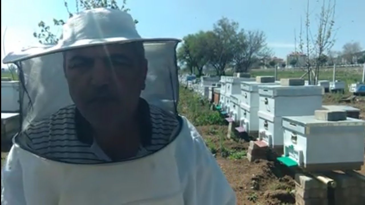 КАК И КОГДА СЛЕДУЕТ ДЕЛАТЬ РАЗДЕЛЕНИЕ ПЧЕЛ..ДЛЯ НОВИЧКОВ..