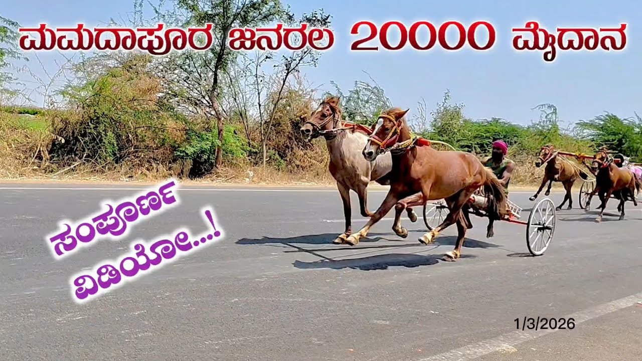 ಮಮದಾಪೂರ ಜನರಲ 20000 ಮೈದಾನ 🚩💥.. 1/3/2026 #horsepower #horseracing #horseriding #horse 