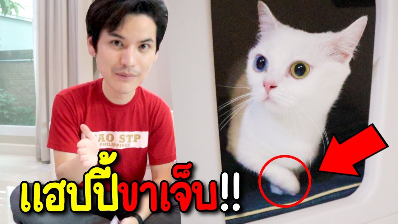 แฮปปี้เจ็บขา! พ่อเต๋างานเข้าแล้ว!!! | ติดเต๋า