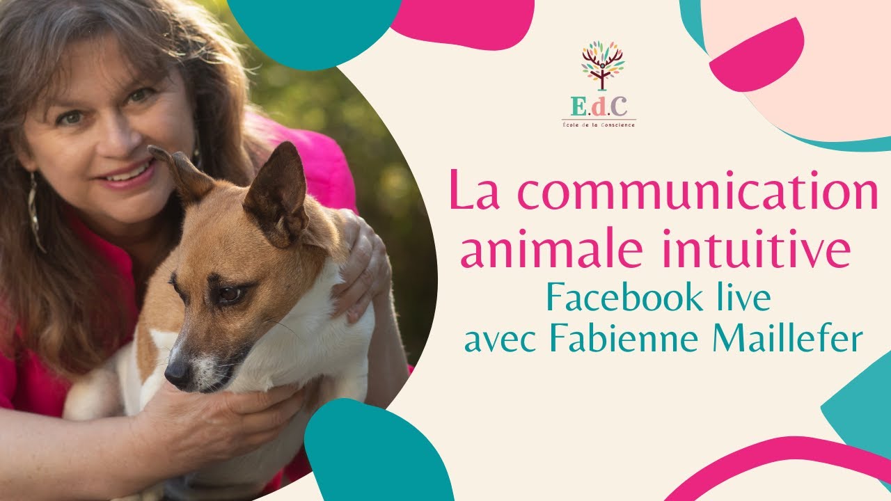 La communication animale intuitive (CAI) selon Fabienne Maillefer