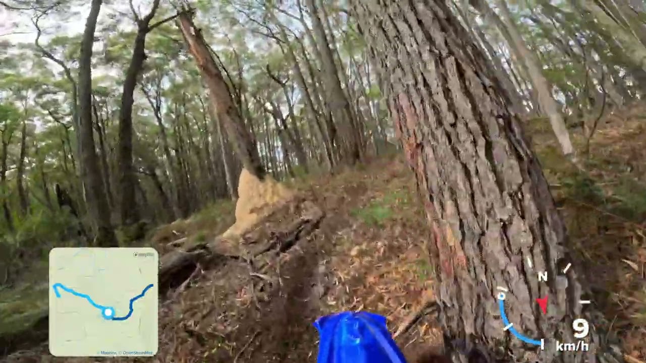 Erica Aussie Dirtbike Tours 2026 03 01   5