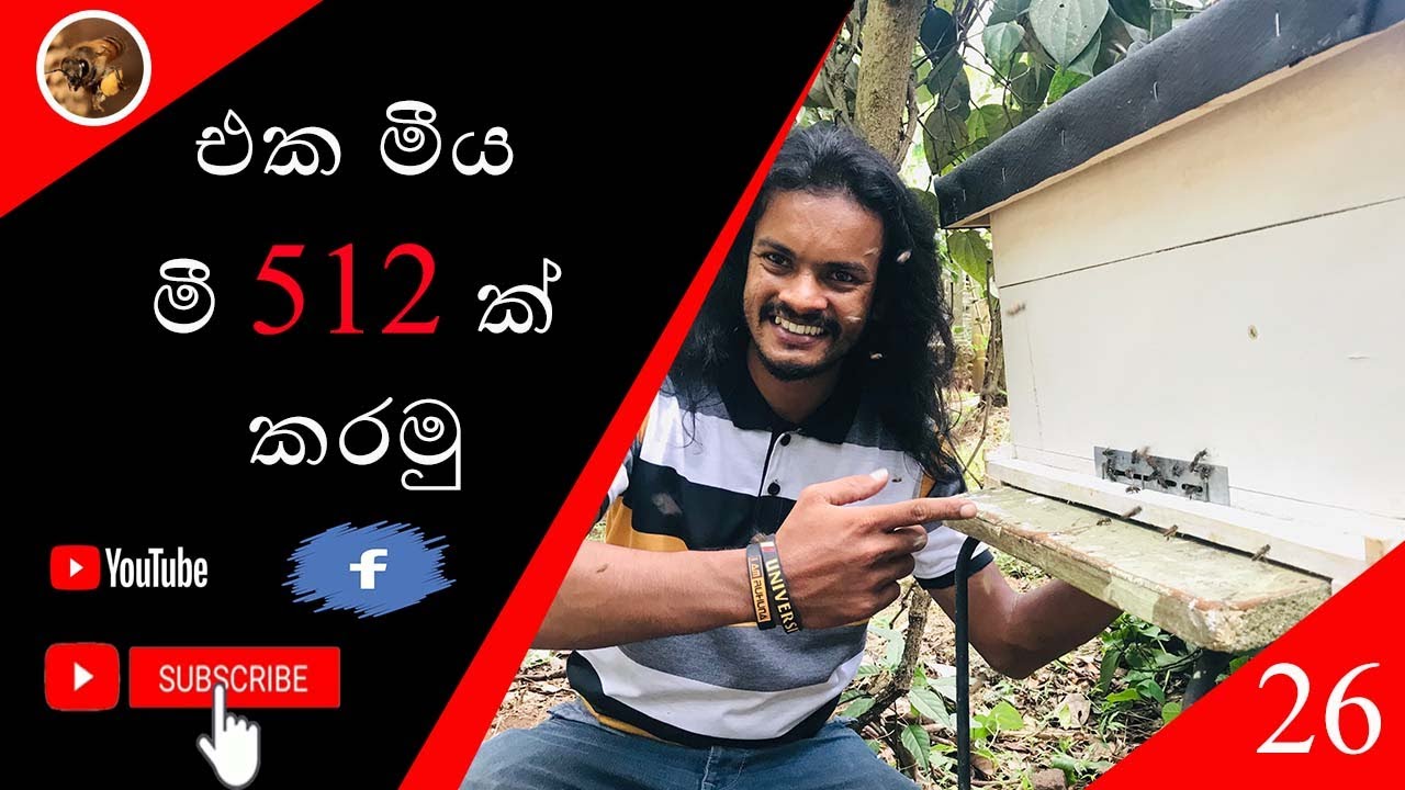 එක මීය  මී 512 ක් කරමු