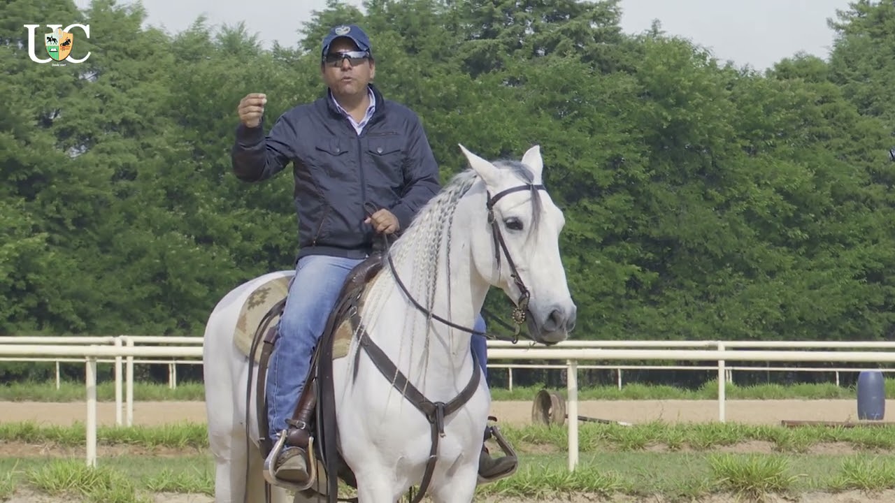 TV UC - Sessão de aquecimento do seu cavalo