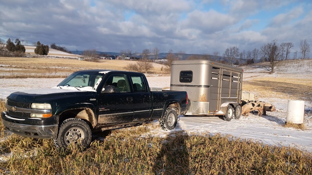New Years Day Farm Auction! Winter Farming in Central Pennsylvania!!