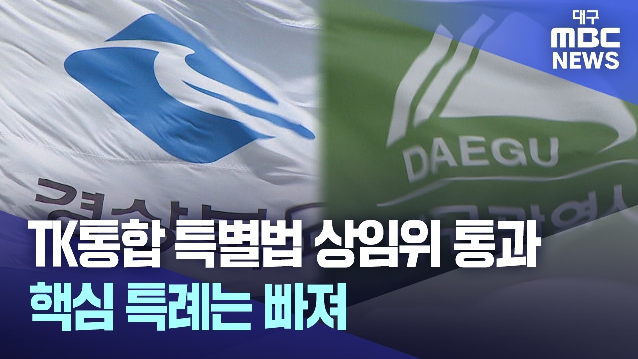 TK통합 특별법 상임위 통과.. 핵심 특례는 빠져 | 대구MBC뉴스