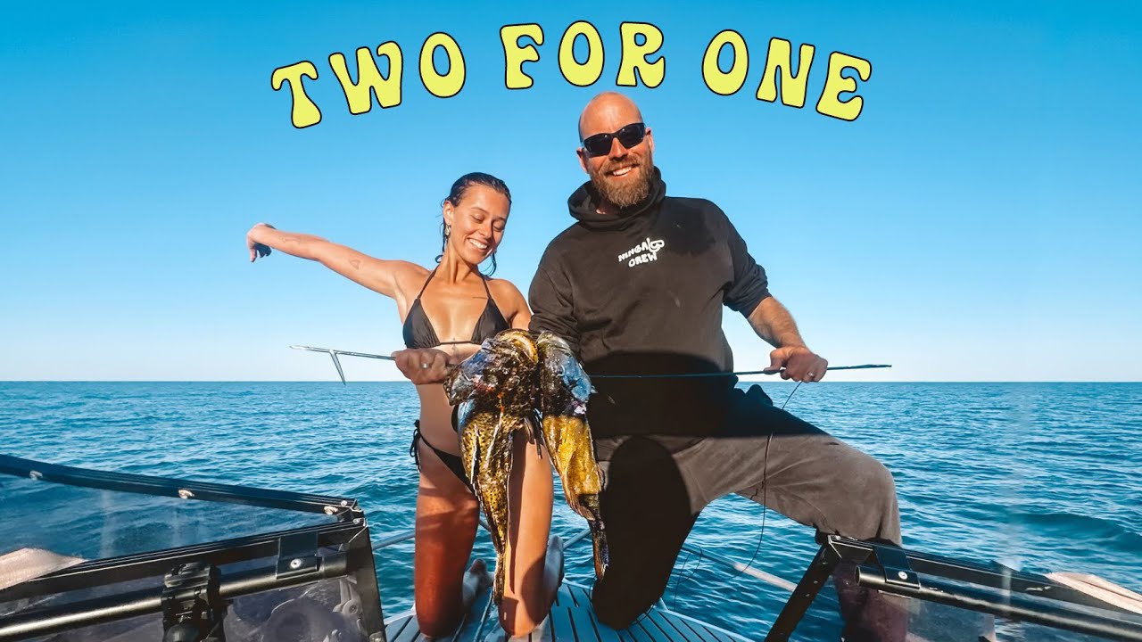 THE FASTEST CORAL TROUT | SPEARFISHING CATCH & COOK - Ep. 67