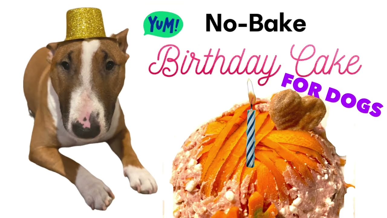 🎂  GEBURTSTAGSTORTE OHNE BACKEN FÜR DEN HUND ♥️ NO-BAKE BIRTHDAY CAKE FOR THE DOG 🐶