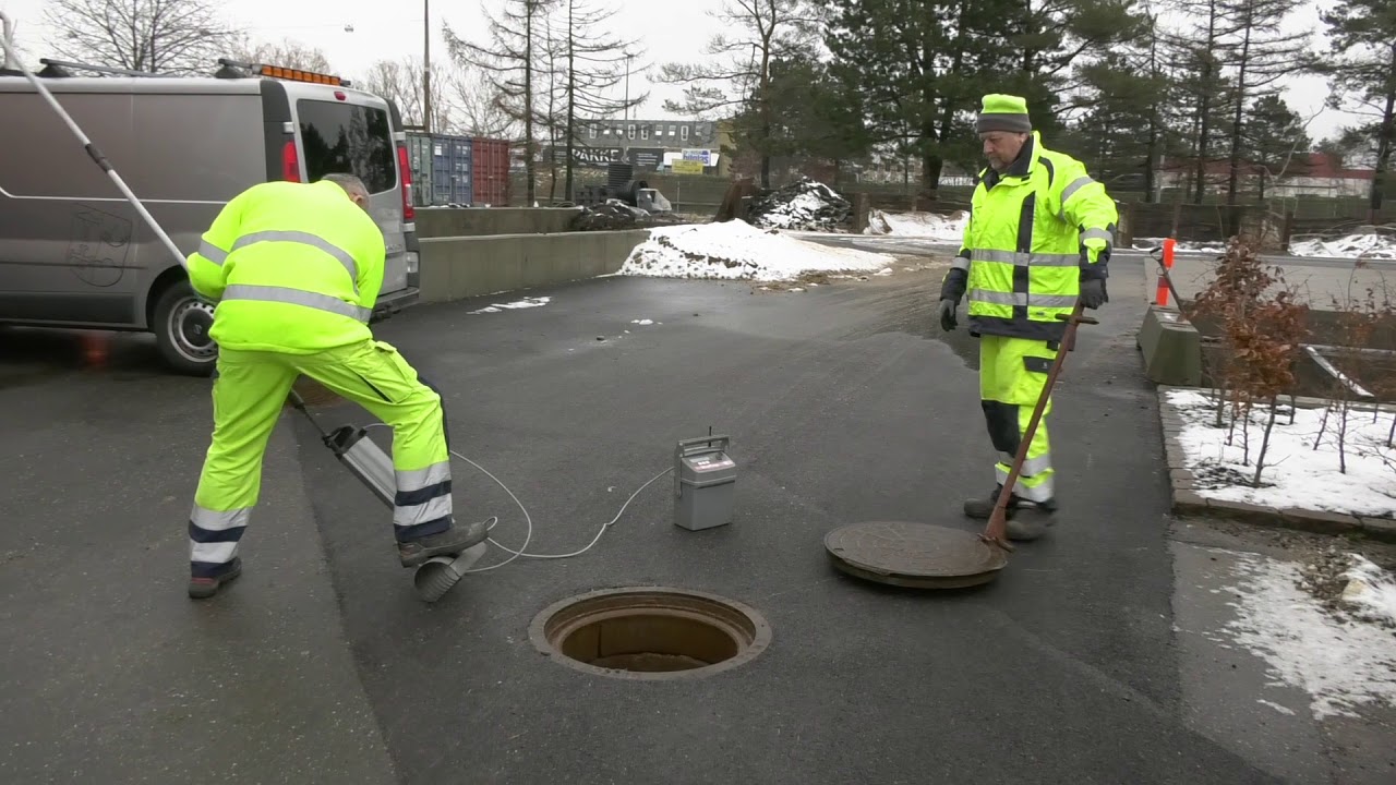 Ishøj sætter ind mod rotter - TV-Ishøj