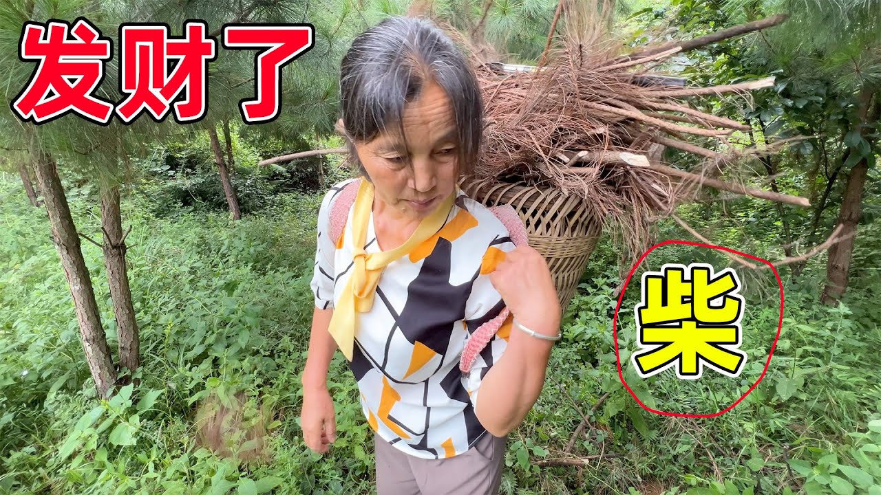 爱好捡菌子的我真的坐不住了，上山碰碰运气，结果满背背回家