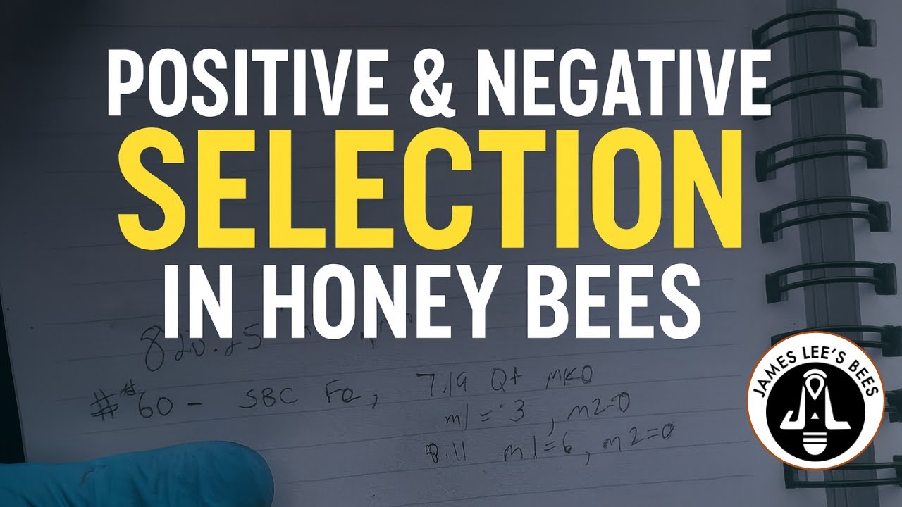 From Chaos to Consistency: My Beekeeping Records & Breeding Rules