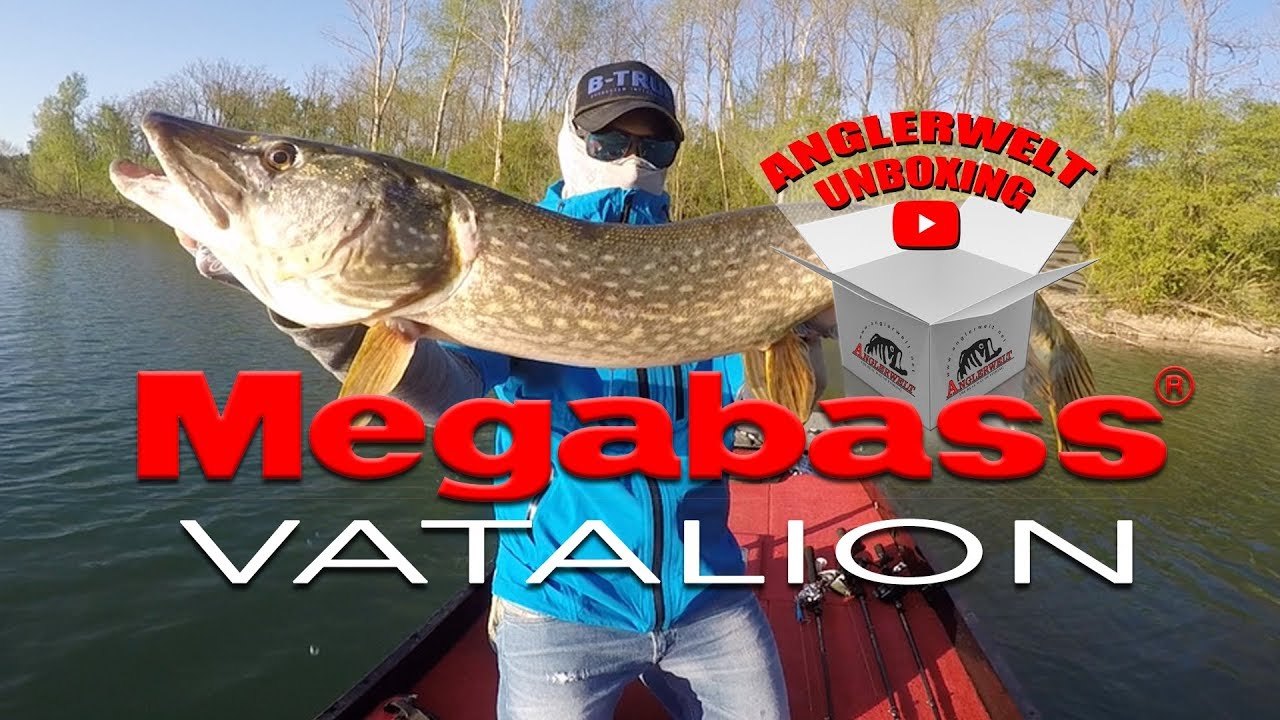 Megabass Vatalion - Anglerwelt Unboxing