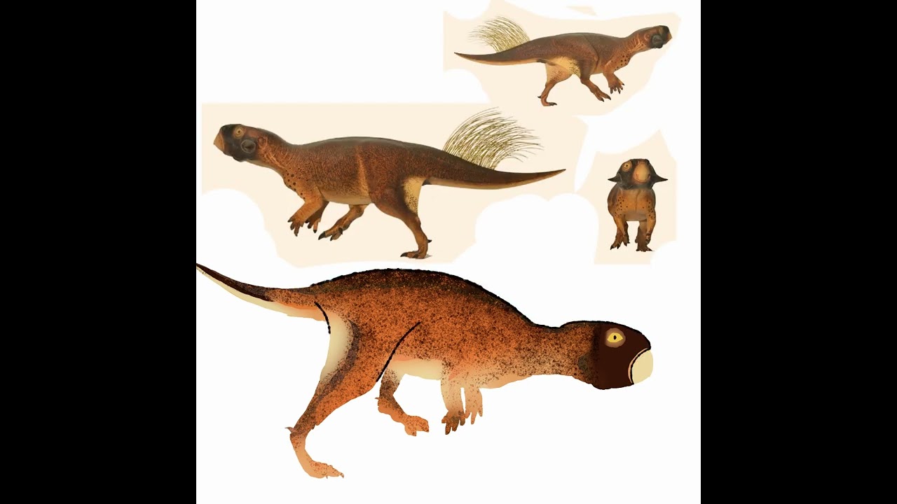 drawing a Psittacosaurus #dinosaur #art #digitalart #dinosaurart #dinosaurdrawing