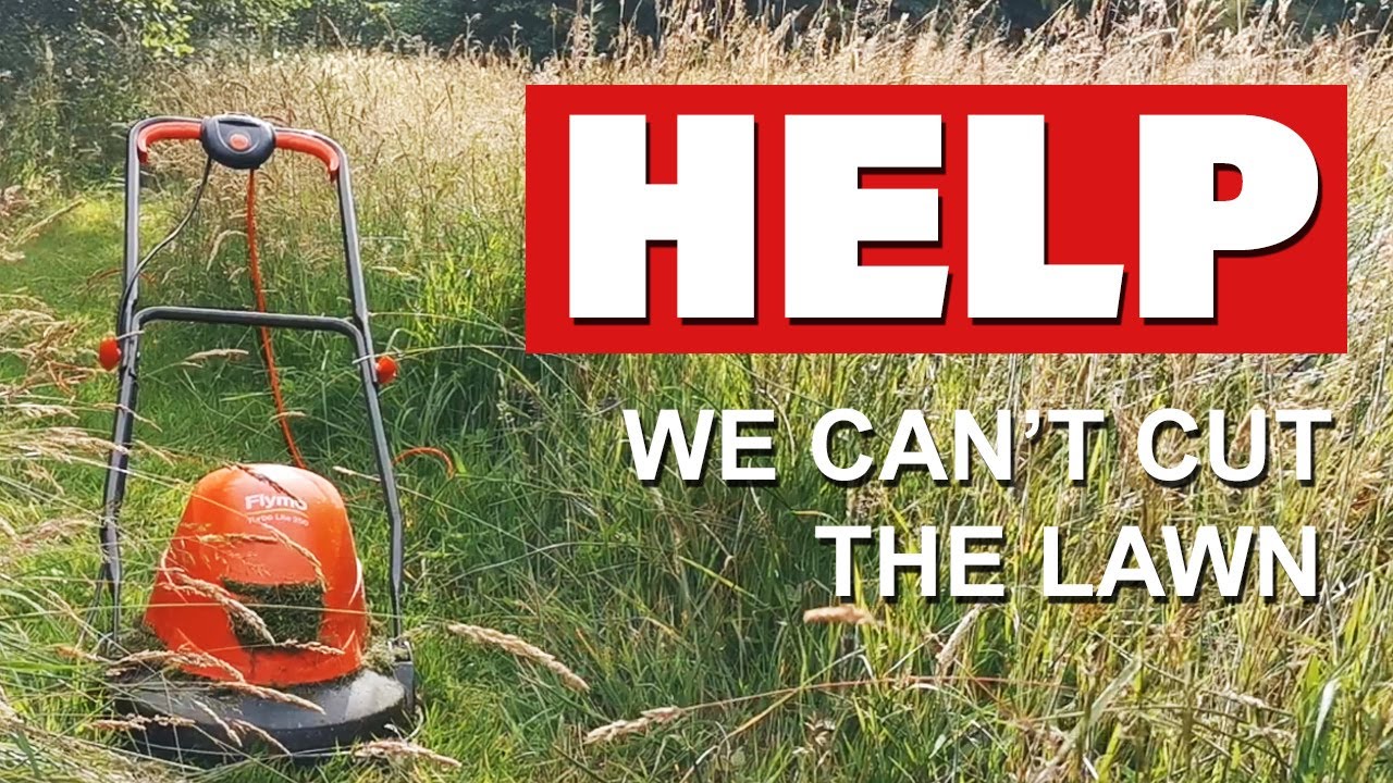 Our no mow nightmare! | Grass cutting problems | No Mow May for wildflower meadow