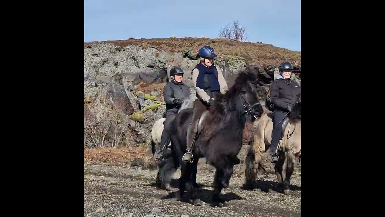 Hestar á Rauðhólum - horseback riding at Rauðhólar