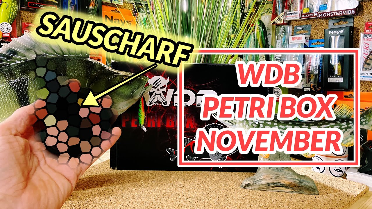 Scharf, randvoll und eine absolute Empfehlung! Die 30€ Überraschungsbox für Angler von Angel Berger!