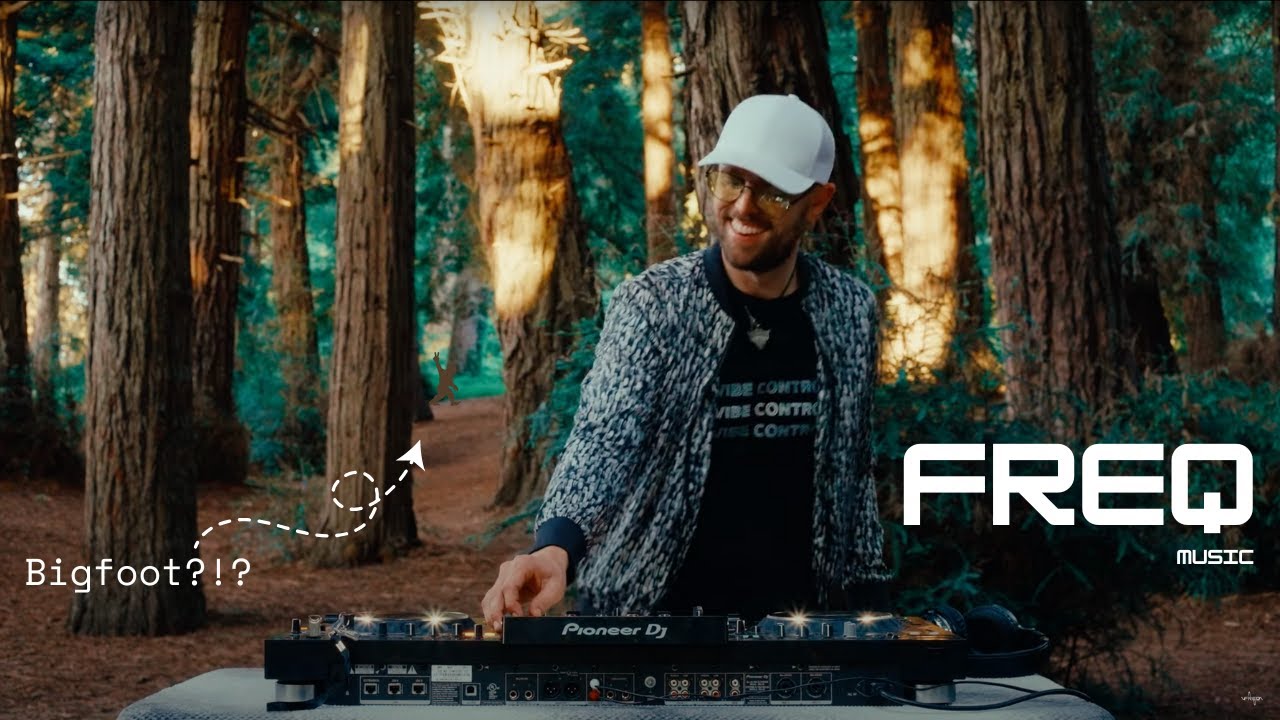 Playful House Mix in the California Redwoods | Frank Human