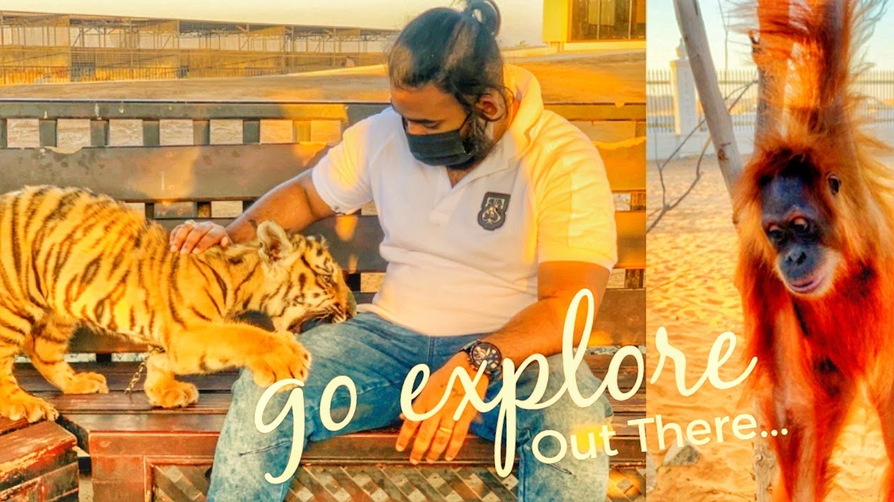 Umm Al Quawain Zoo-The Zoo Wildlife Park-Zoo In UAE