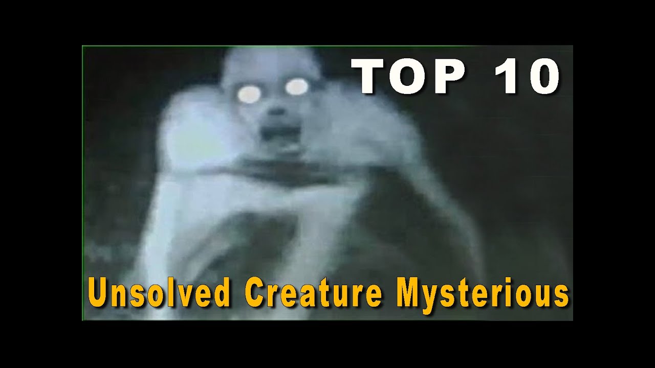 Top 10 Scariest Unsolved Creature Mysteries you won't BELIEVE