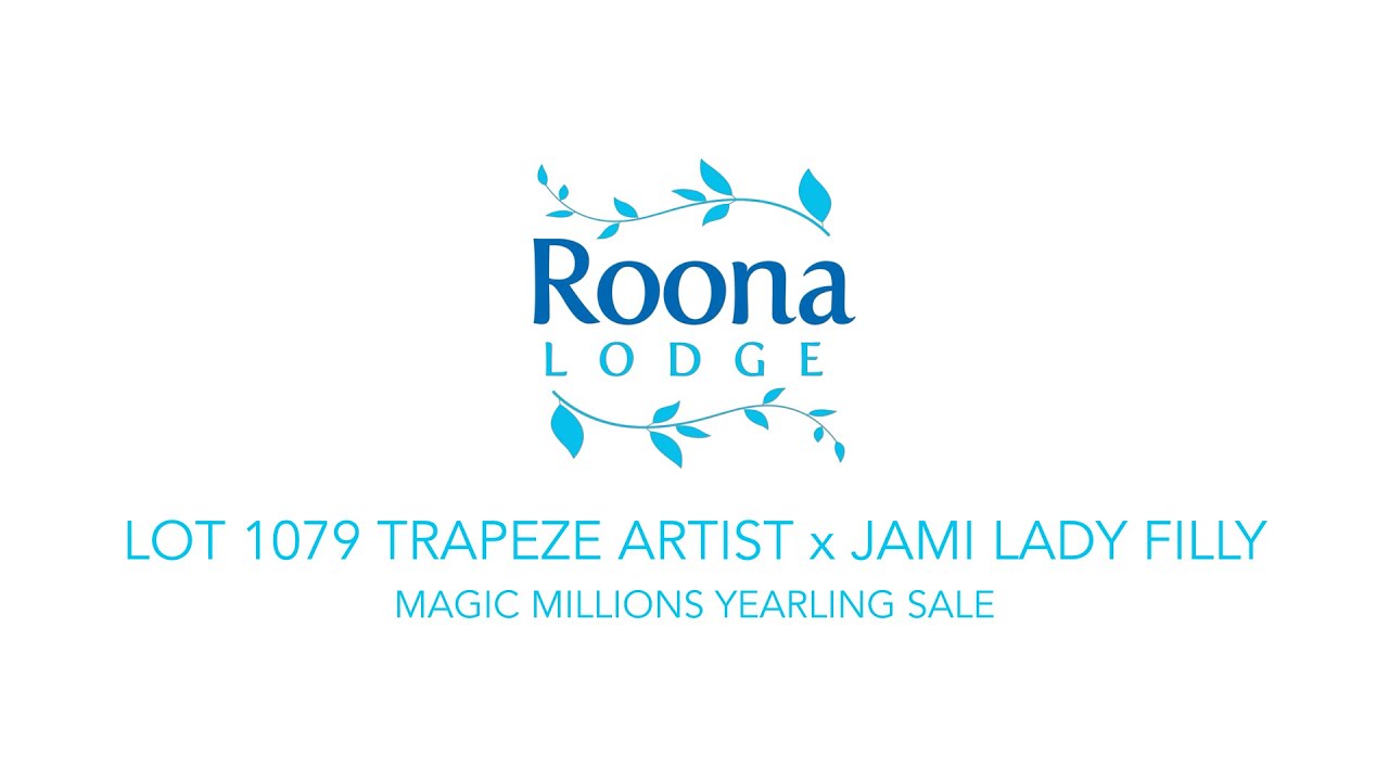 Lot 1079 Trapeze Artist x Jami Lady filly - Roona Lodge