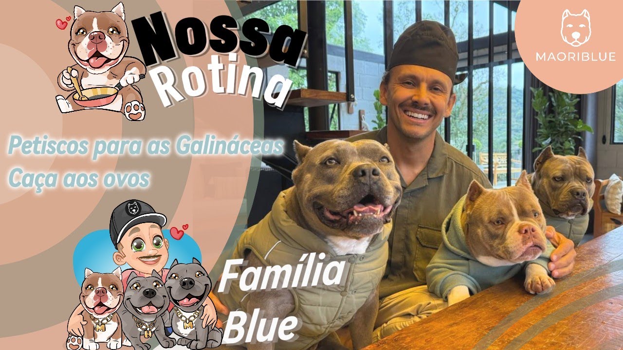Maori, Nuhri e Marê levam Petiscos para as Galináceas🐾 Novos integrantes da Família Blue
