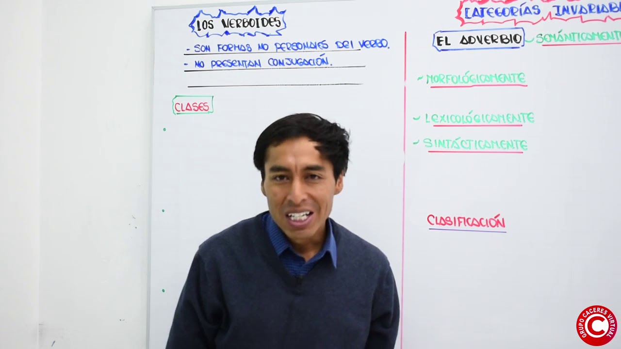 lenguaje 8