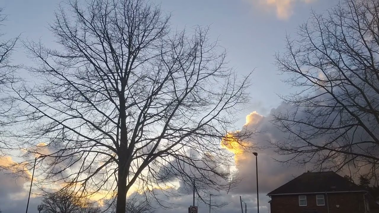 Calm Park Walk | Birds, Trees & Fresh Breeze