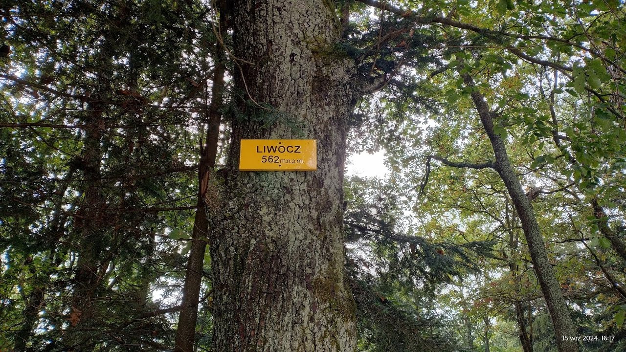 Wskazówki, wędrówki - Brzyska - góra Liwocz (562 m) (wieża widokowa)