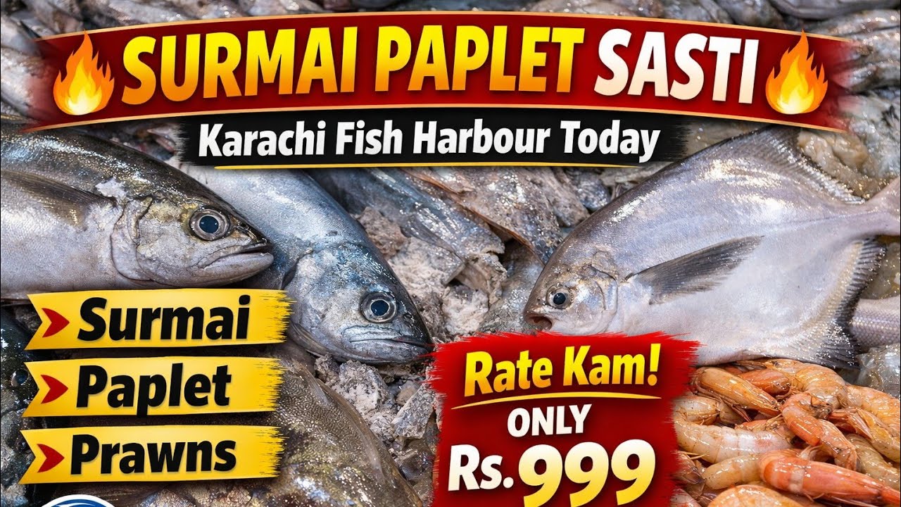 Karachi Fish Harbour Today Update | Surmai, Paplet, Prawns Rate | Fresh Seafood Sasta Ho Gaya
