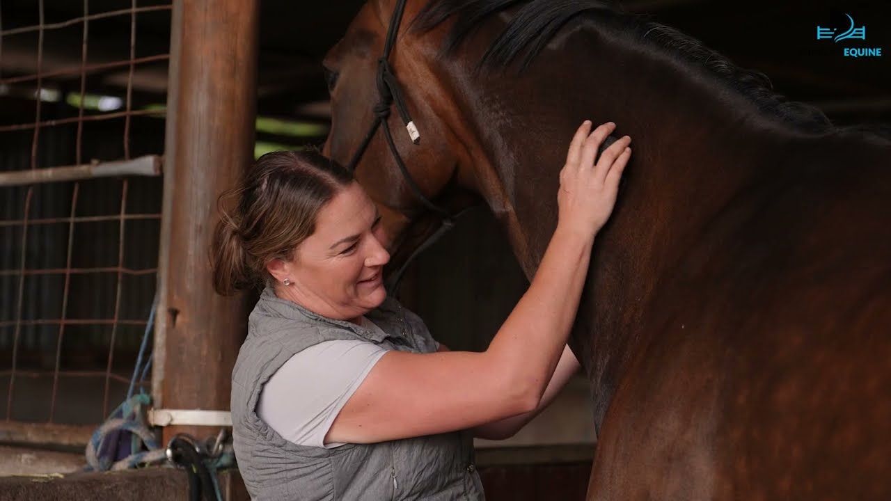 Duncan Equine   We are horse people!
