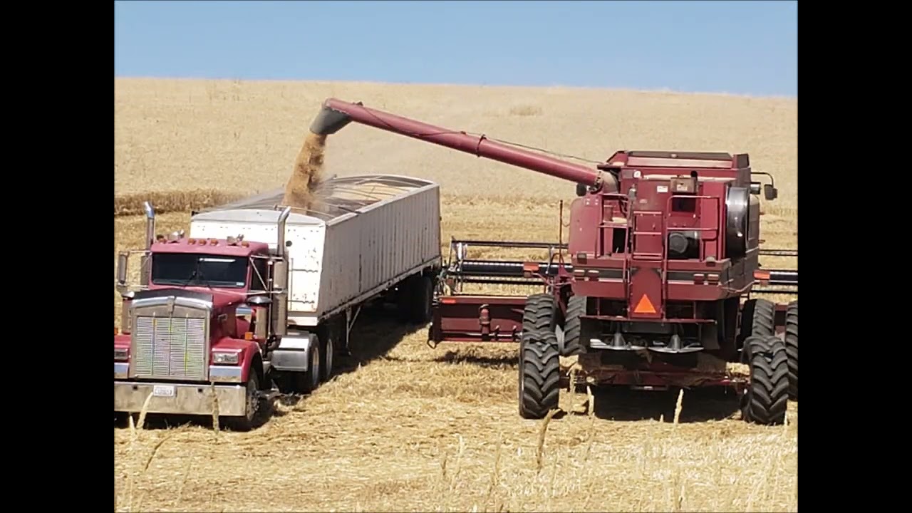 Palouse Harvest August 2022