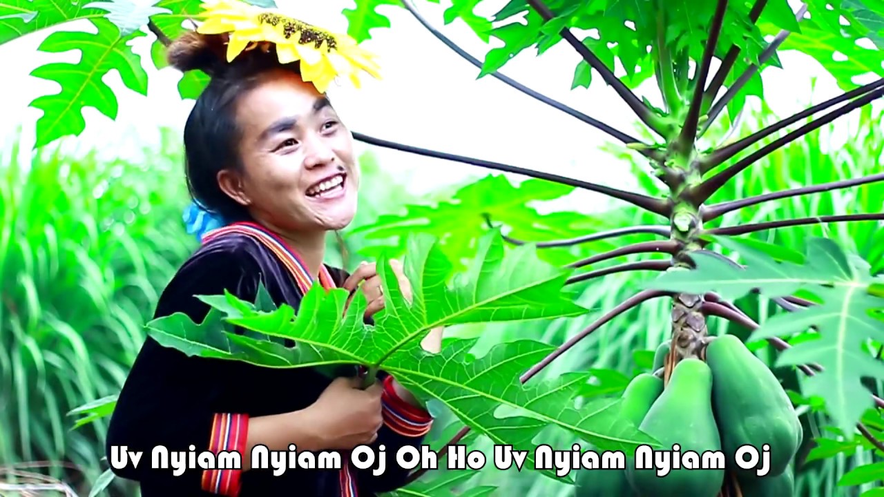 Uv Nyiam Nyiam Oj Maiv Nyiaj New MV 2019