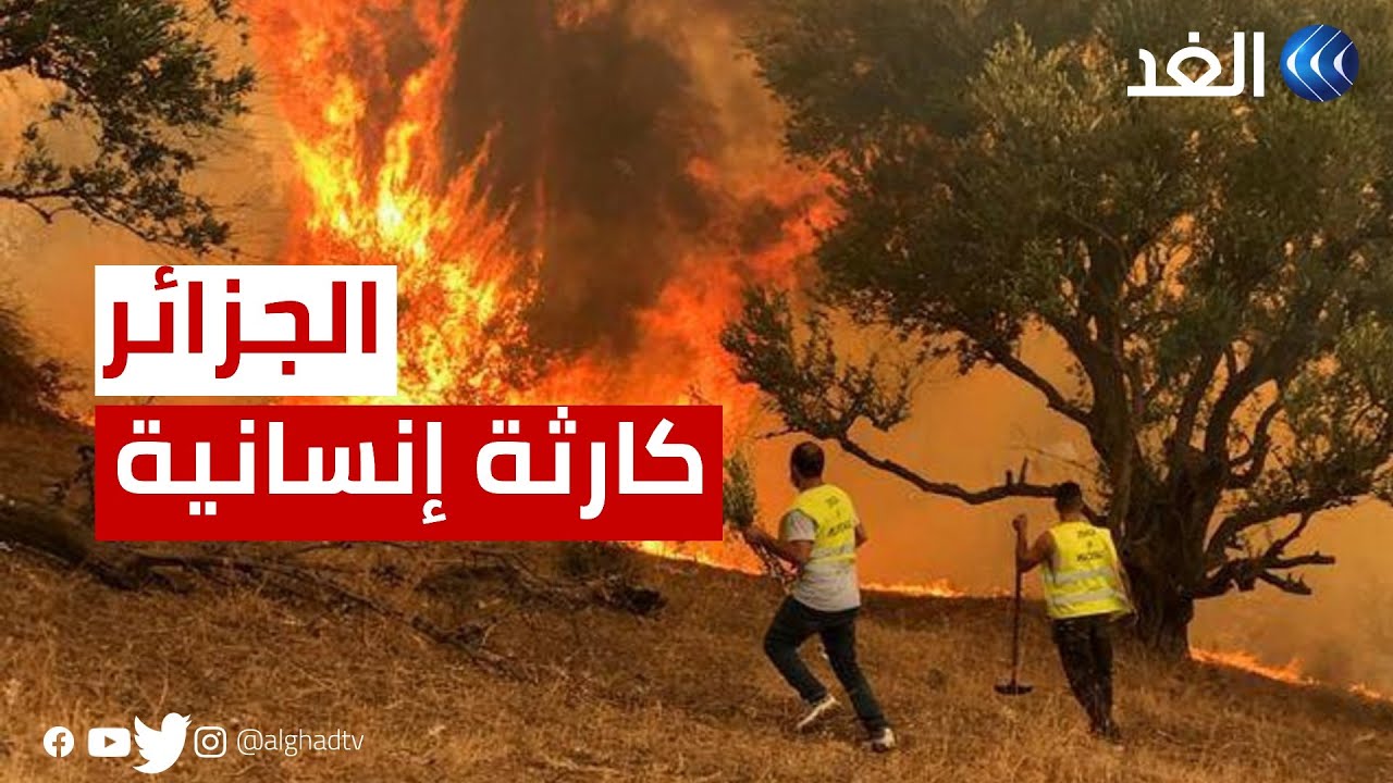كارثة وحزن يخيمان على سكان المنازل المشتعلة والمتضررة جراء حرائق الغابات في الجزائر