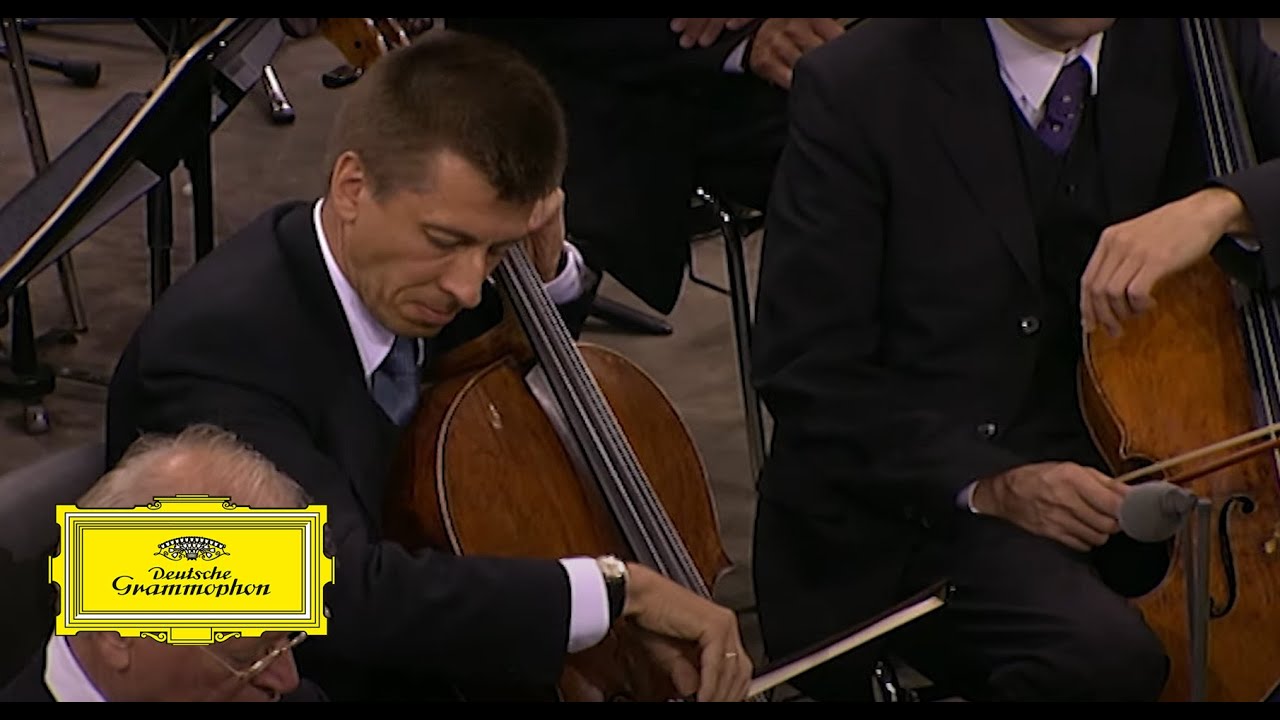 Katia & Marielle Labèque & Berlin Phil – Saint-Saëns: Le Carnaval Des Animaux: Le Cygne