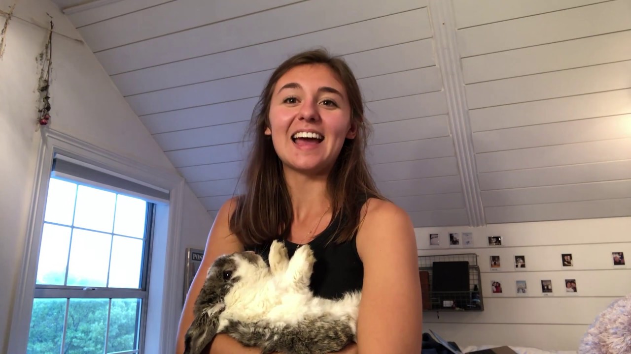 Indoor rabbit condo tour!