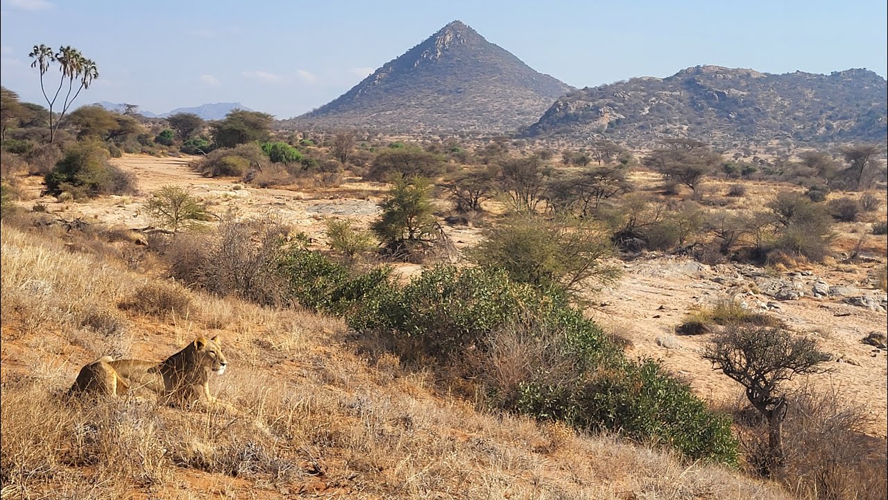 Kenia 1