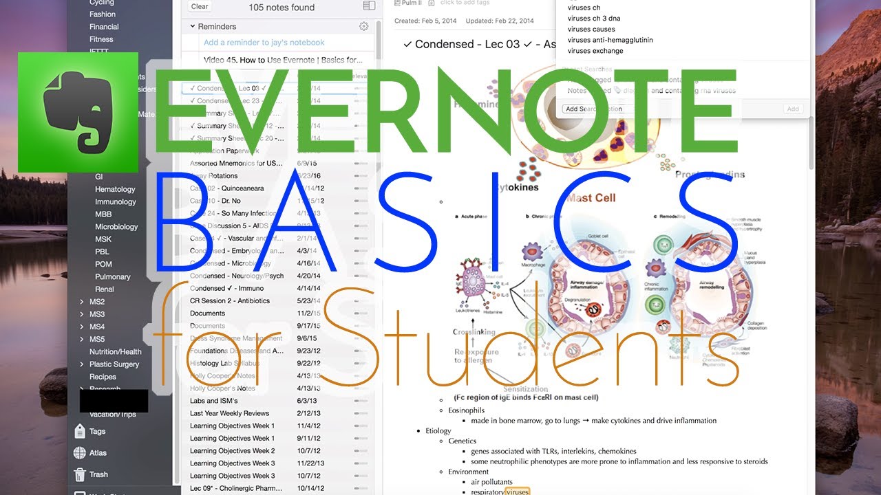 How to Use Evernote | Basics for Students