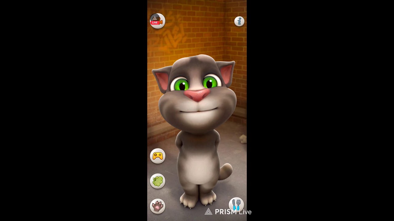 Talking tom cat #live