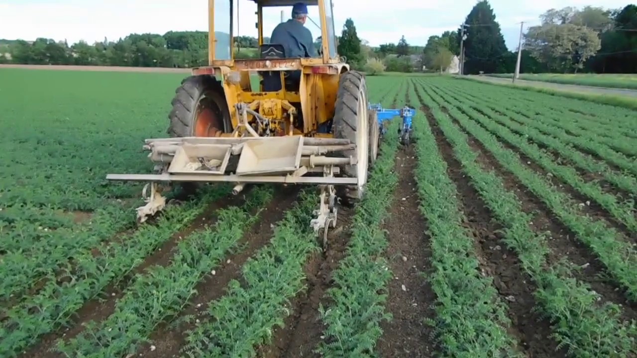 Ecophyto : Transfert de connaissance : Démonstration Binage Pois Chiche Bio 17 Mai 2017