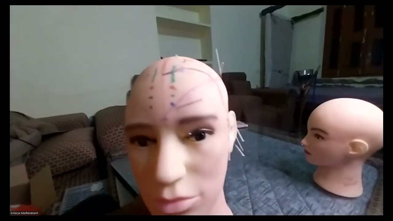 YNSA Sensory Points Practicals